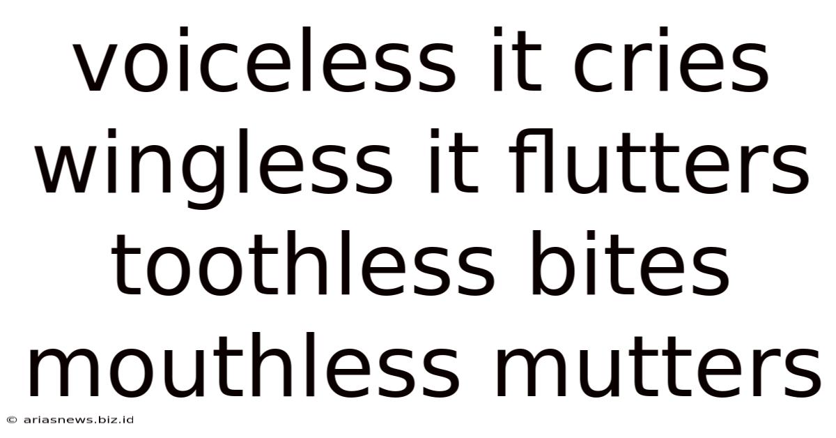 Voiceless It Cries Wingless It Flutters Toothless Bites Mouthless Mutters