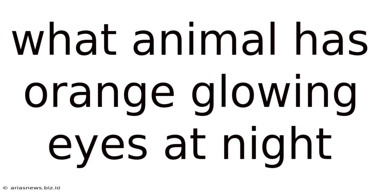 What Animal Has Orange Glowing Eyes At Night