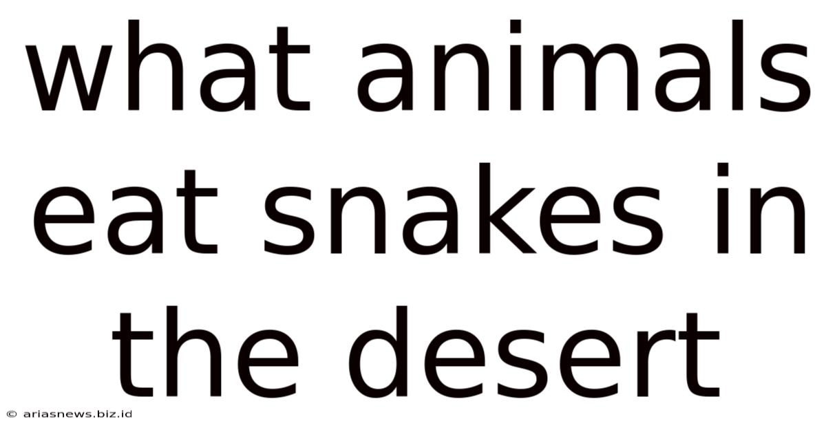 What Animals Eat Snakes In The Desert