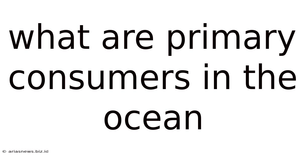 What Are Primary Consumers In The Ocean