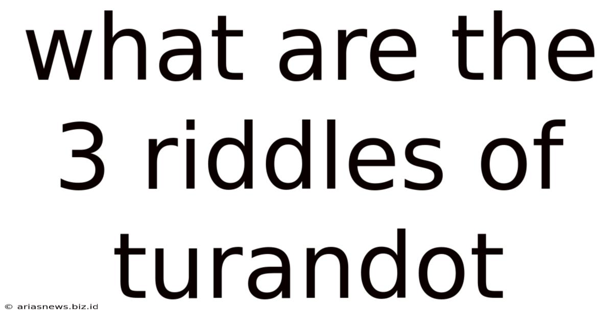 What Are The 3 Riddles Of Turandot