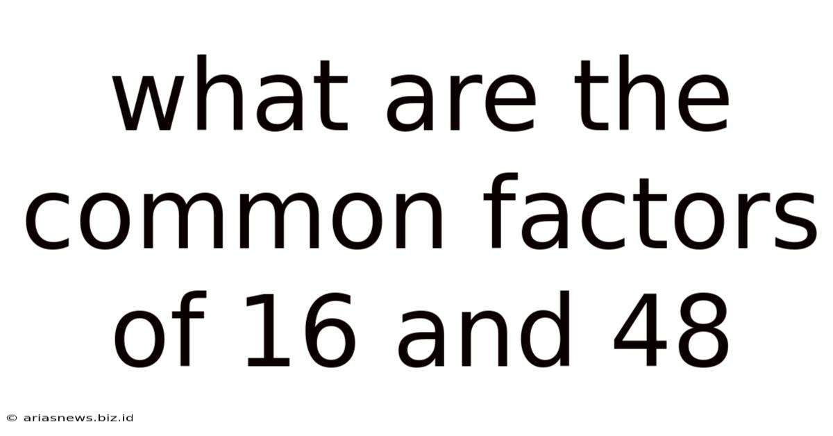 What Are The Common Factors Of 16 And 48