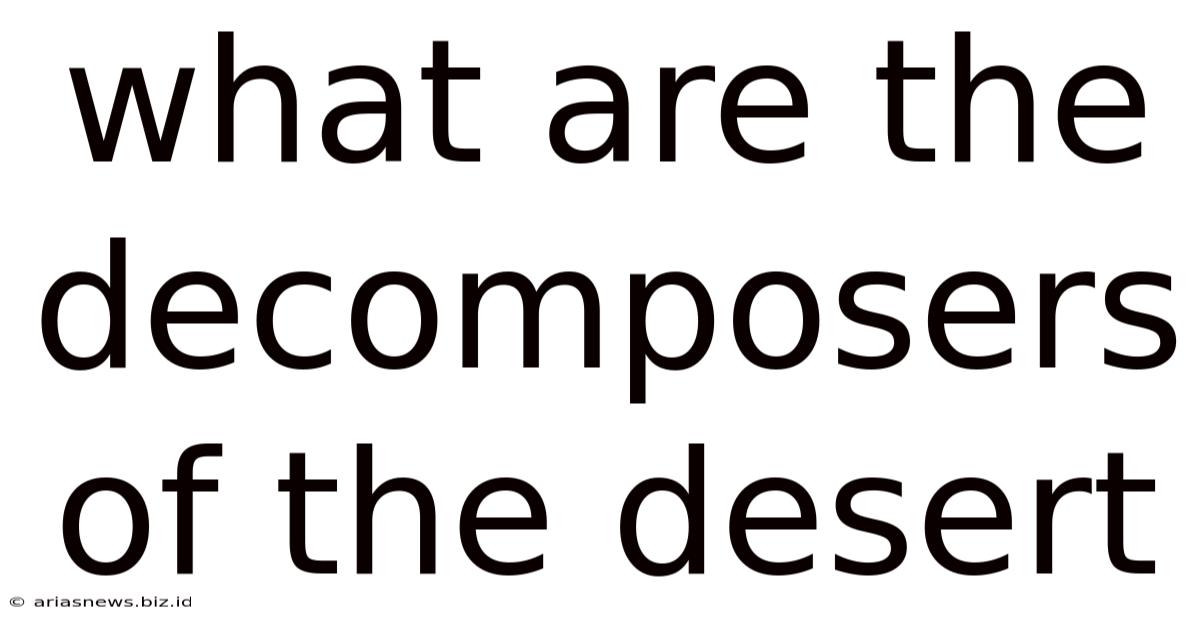 What Are The Decomposers Of The Desert