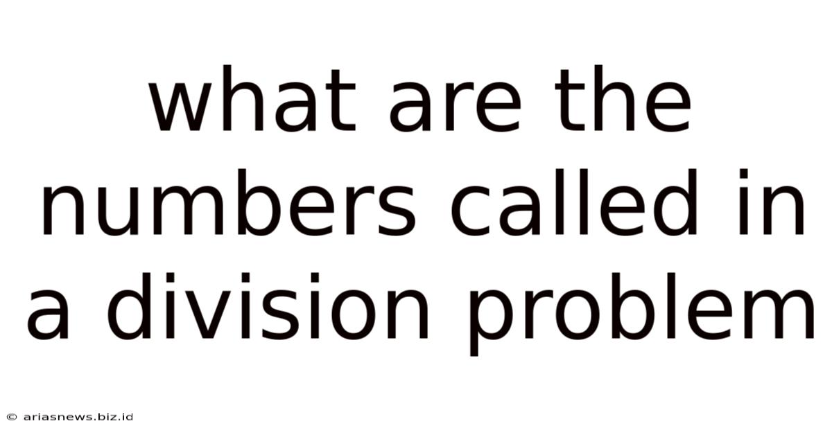 What Are The Numbers Called In A Division Problem