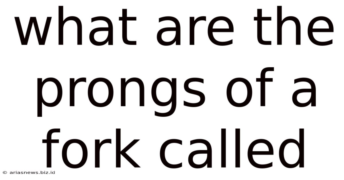 What Are The Prongs Of A Fork Called