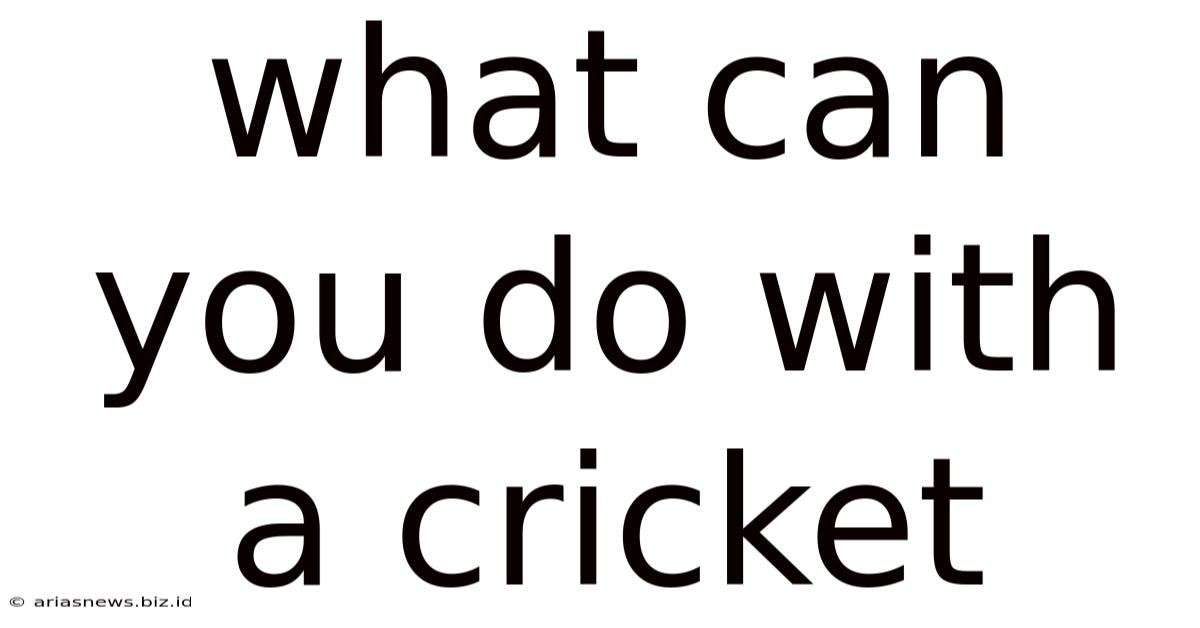What Can You Do With A Cricket