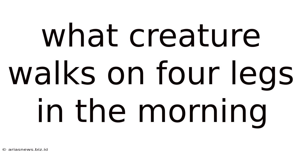 What Creature Walks On Four Legs In The Morning