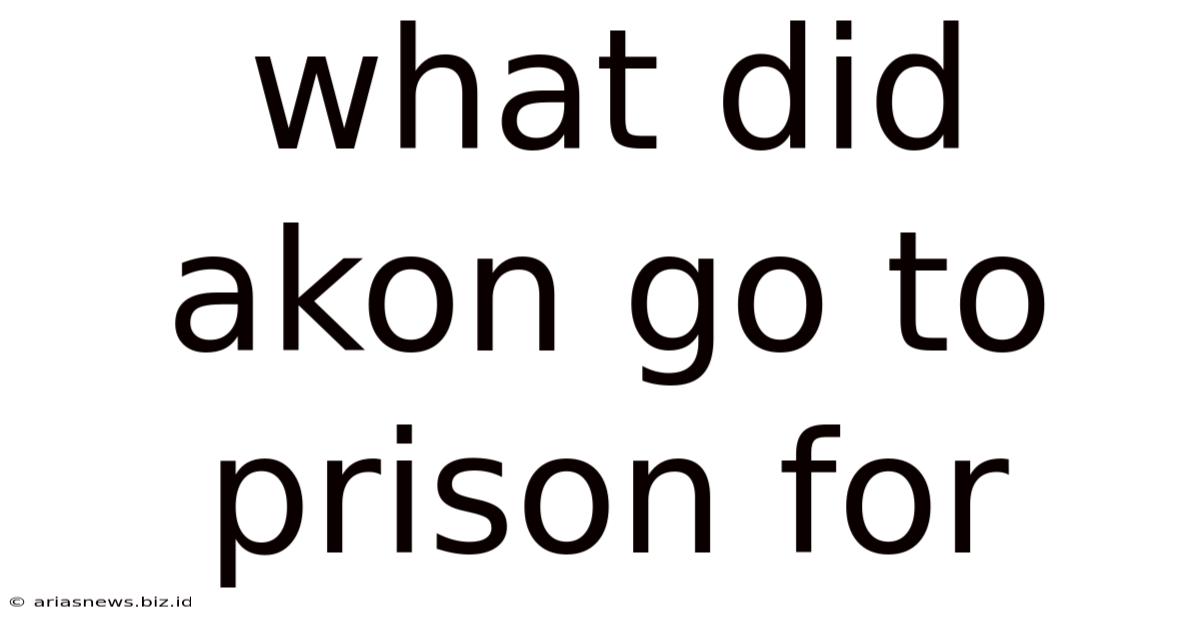 What Did Akon Go To Prison For