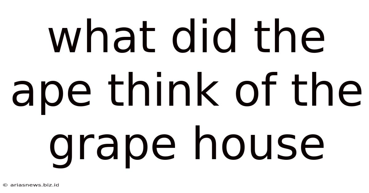 What Did The Ape Think Of The Grape House