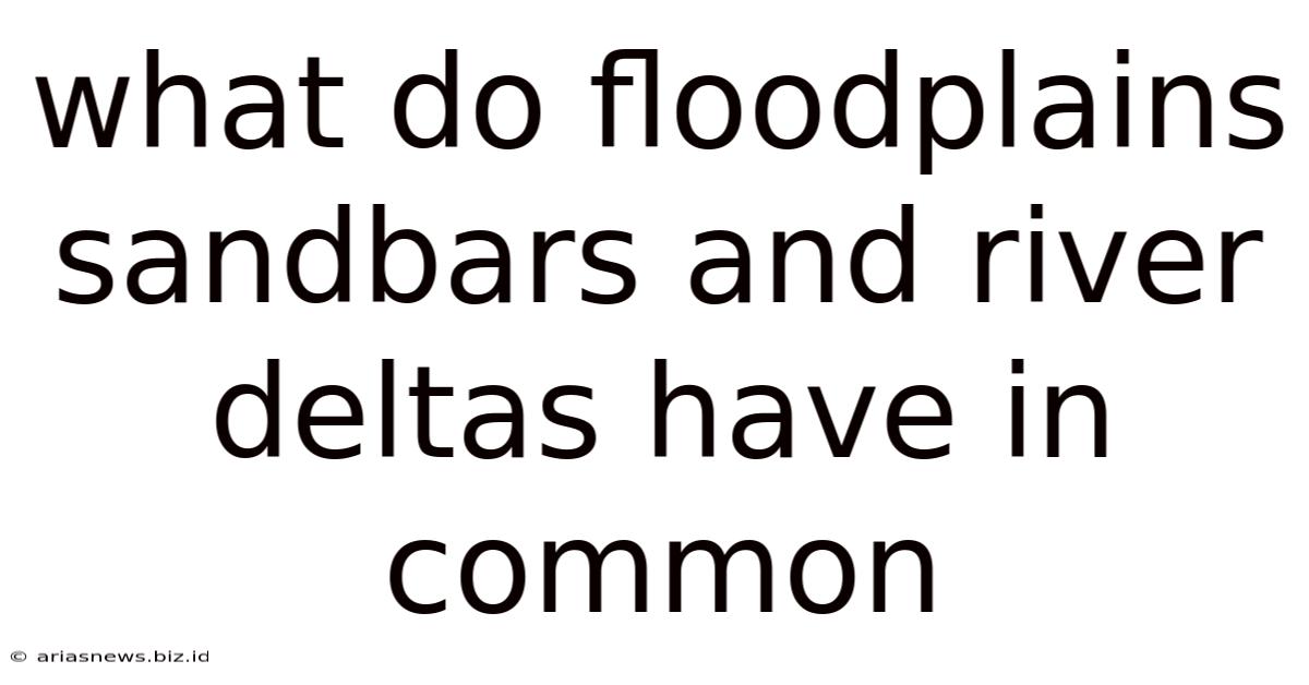 What Do Floodplains Sandbars And River Deltas Have In Common