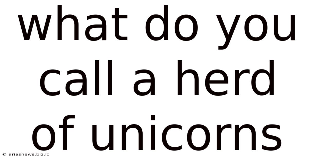 What Do You Call A Herd Of Unicorns