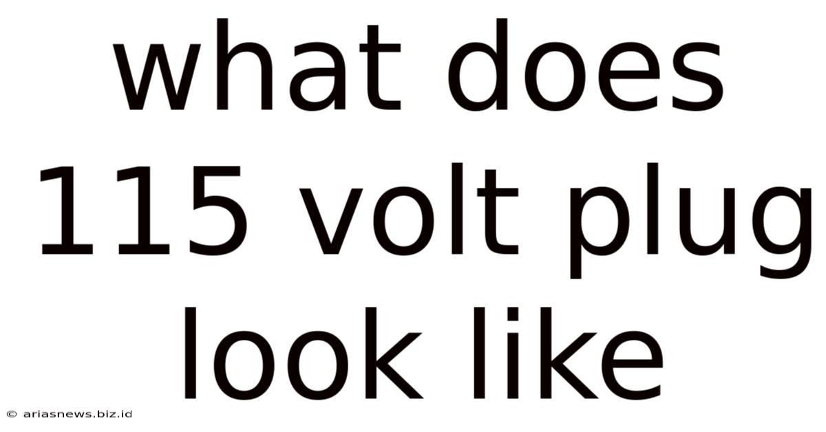 What Does 115 Volt Plug Look Like