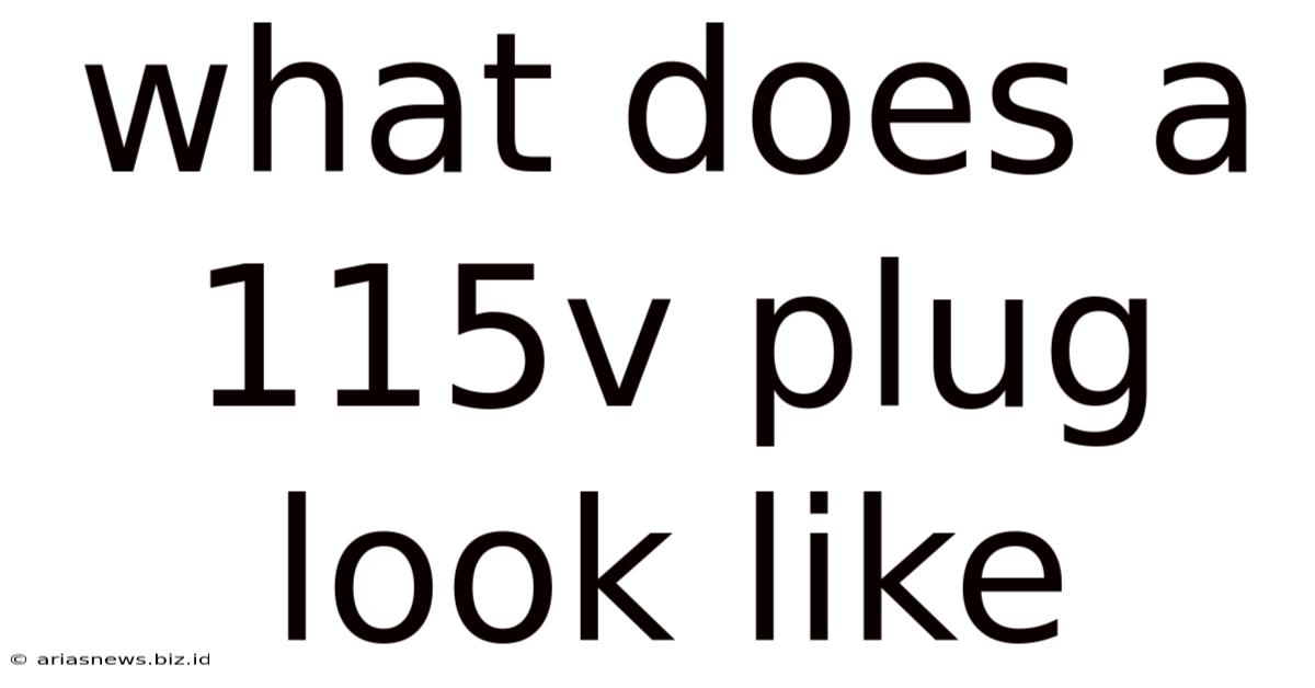 What Does A 115v Plug Look Like