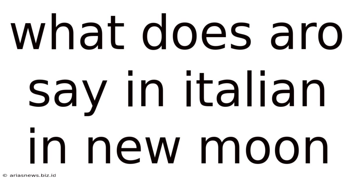 What Does Aro Say In Italian In New Moon