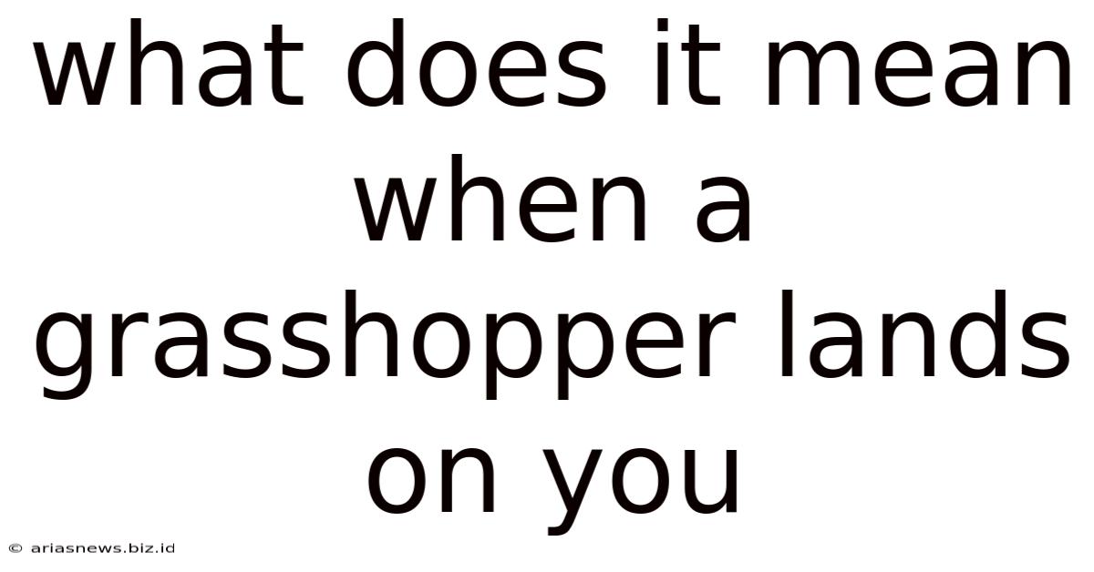 What Does It Mean When A Grasshopper Lands On You