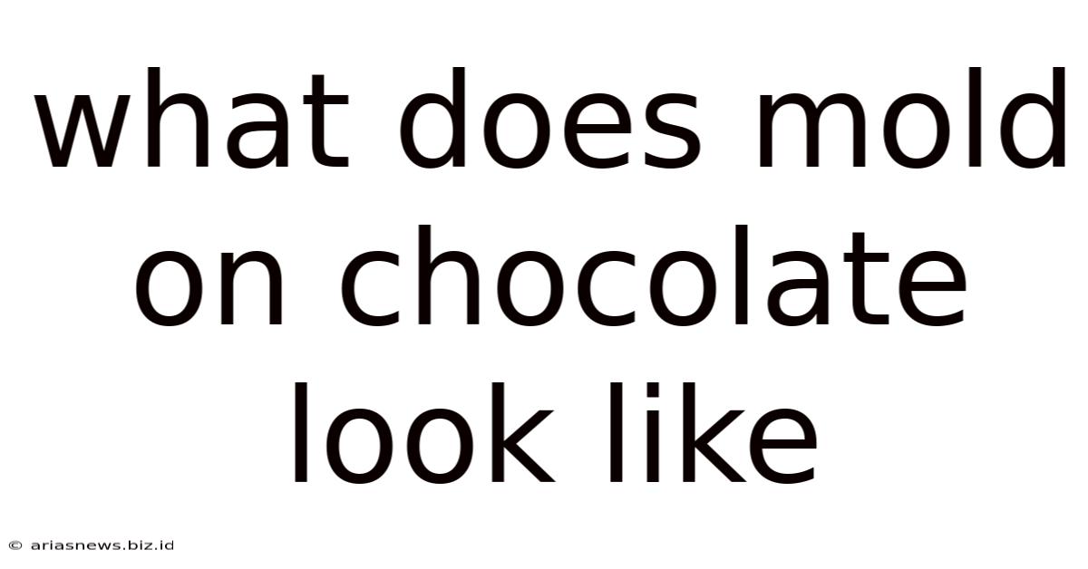 What Does Mold On Chocolate Look Like
