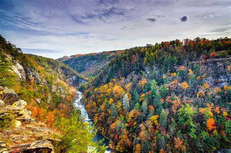 What Georgia Region Recoves The Most Rqianfall