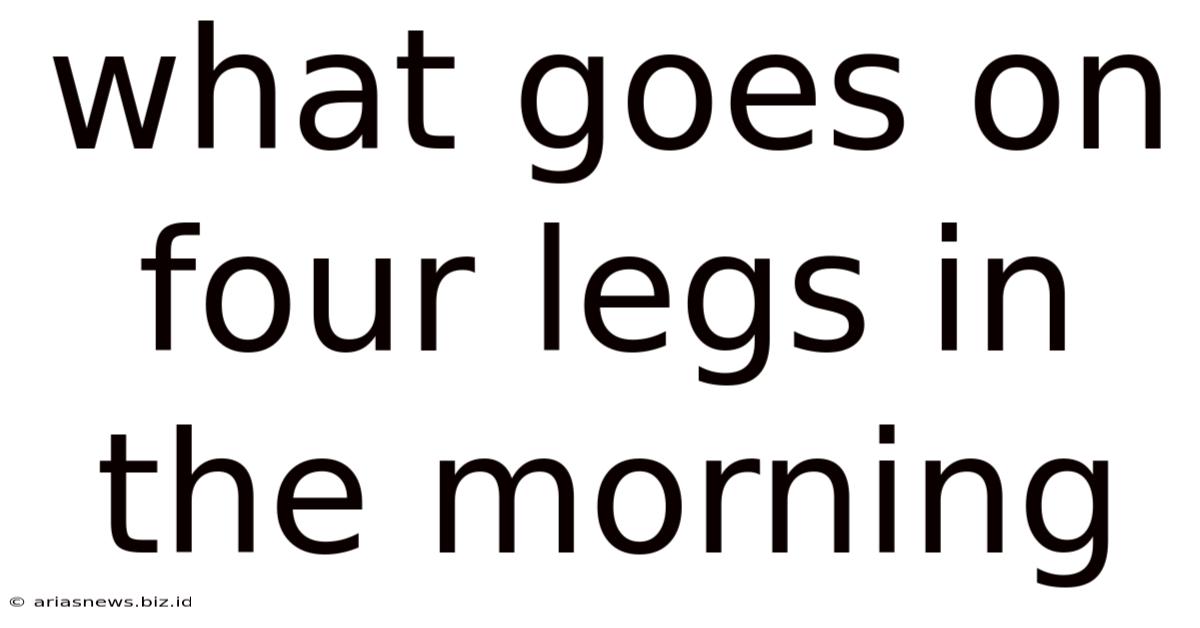 What Goes On Four Legs In The Morning