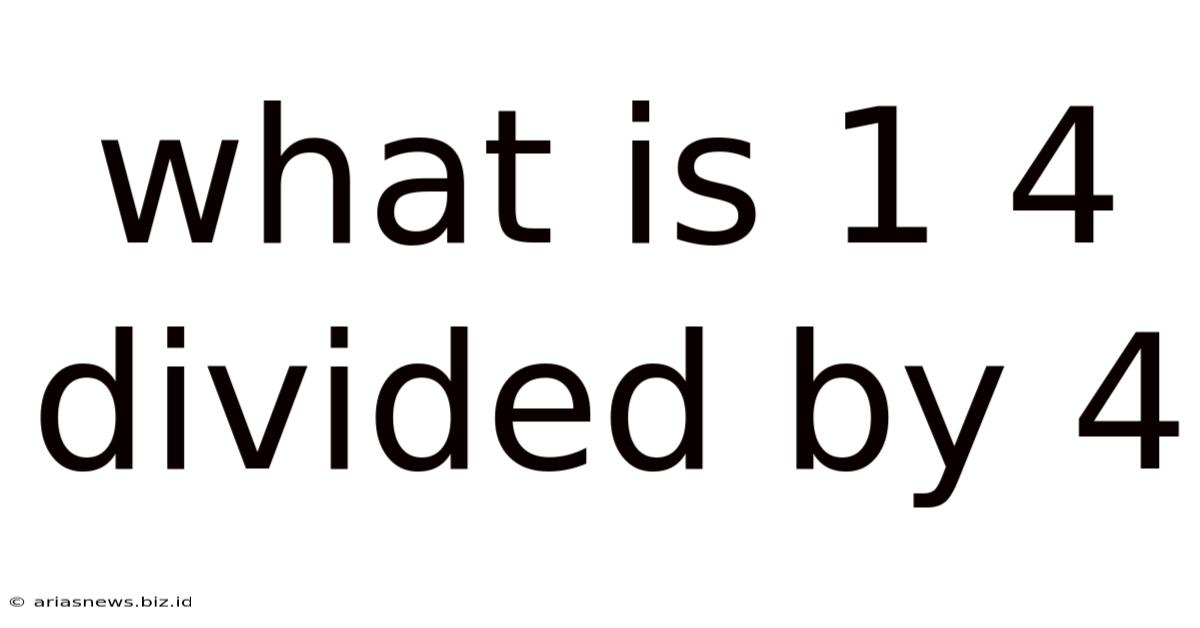 What Is 1 4 Divided By 4