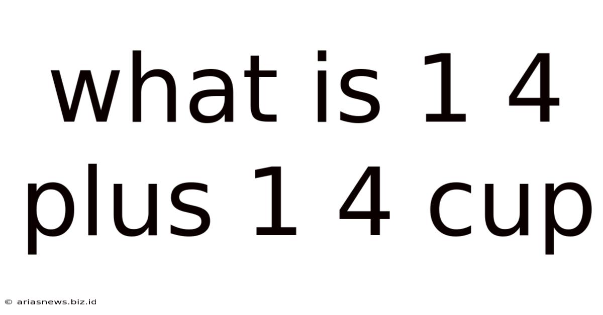 What Is 1 4 Plus 1 4 Cup