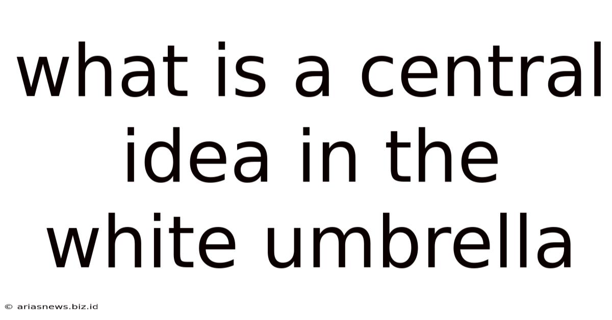 What Is A Central Idea In The White Umbrella