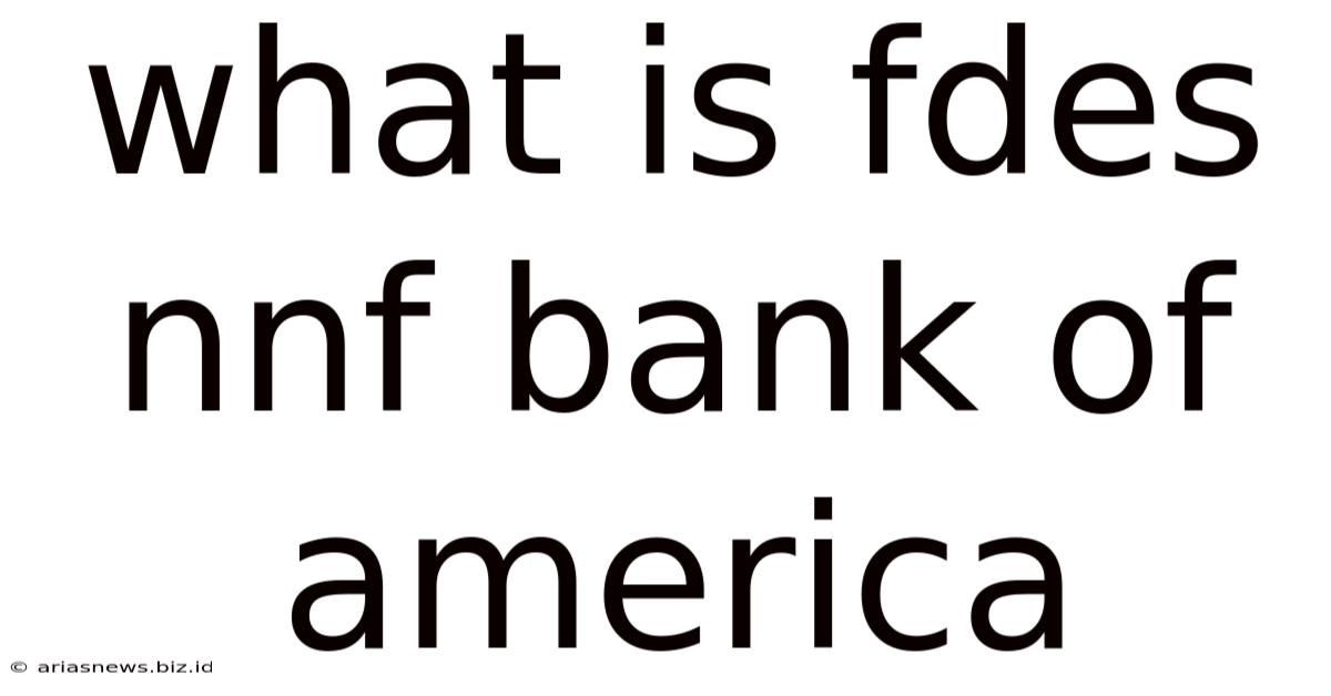 What Is Fdes Nnf Bank Of America