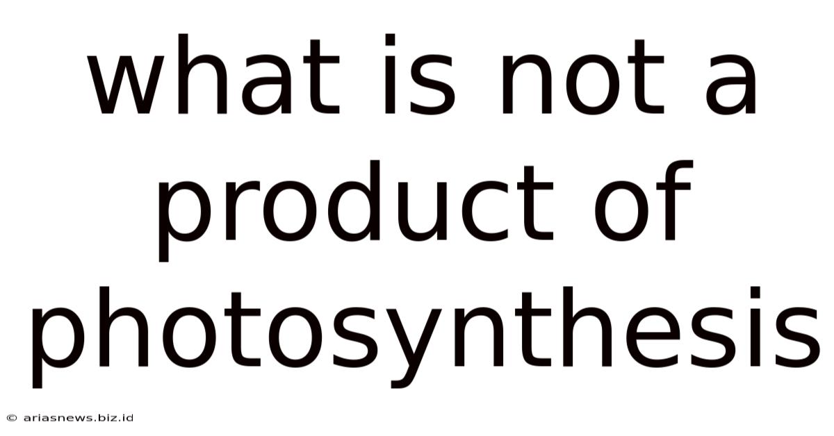 What Is Not A Product Of Photosynthesis