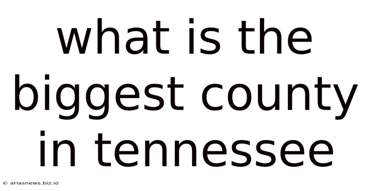 What Is The Biggest County In Tennessee