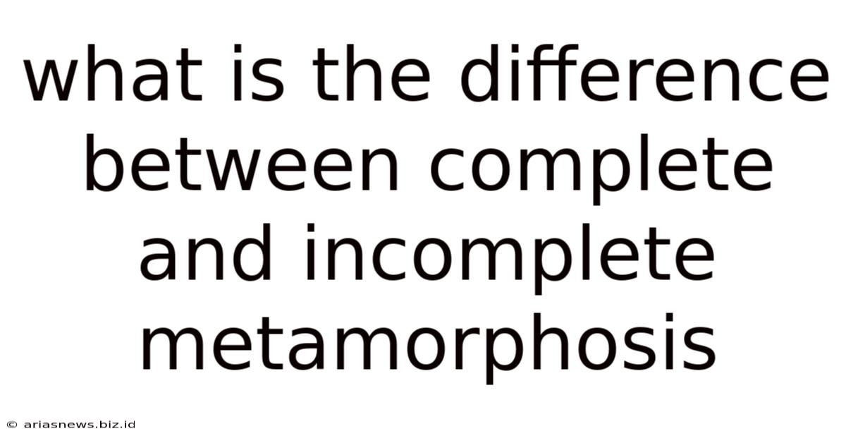 What Is The Difference Between Complete And Incomplete Metamorphosis
