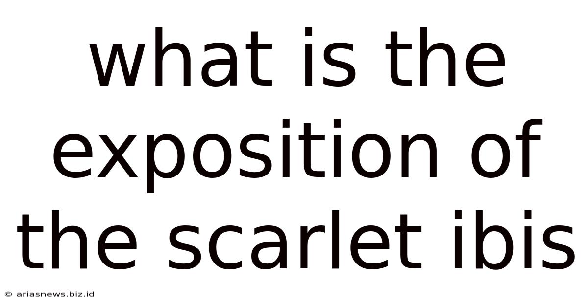 What Is The Exposition Of The Scarlet Ibis