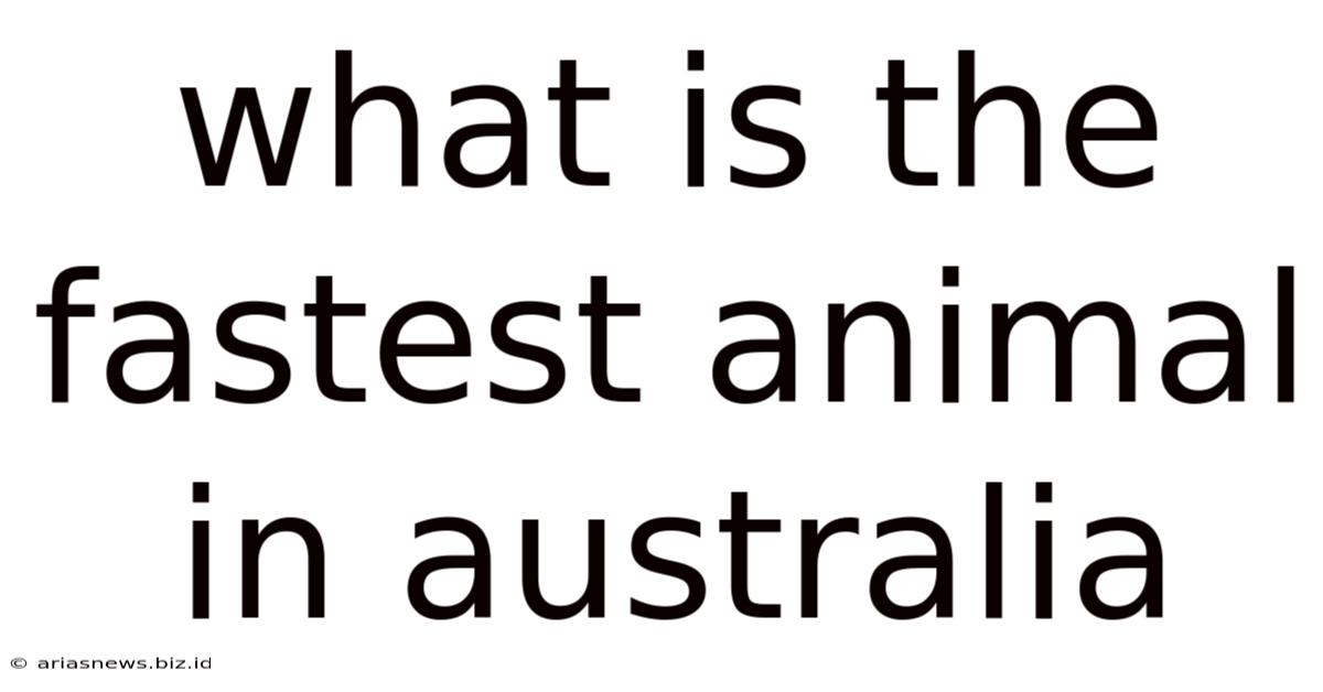 What Is The Fastest Animal In Australia