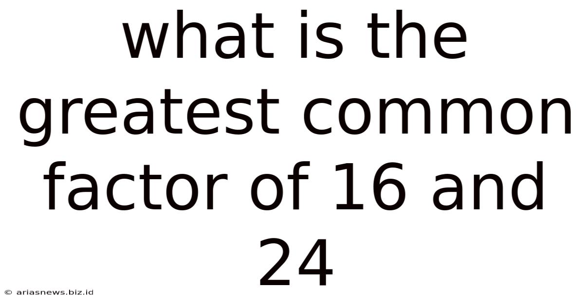 What Is The Greatest Common Factor Of 16 And 24