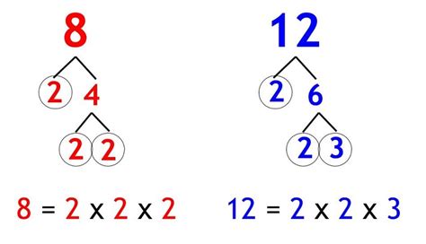 What Is The Least Common Denominator Of 12 And 16