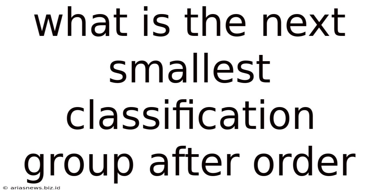 What Is The Next Smallest Classification Group After Order
