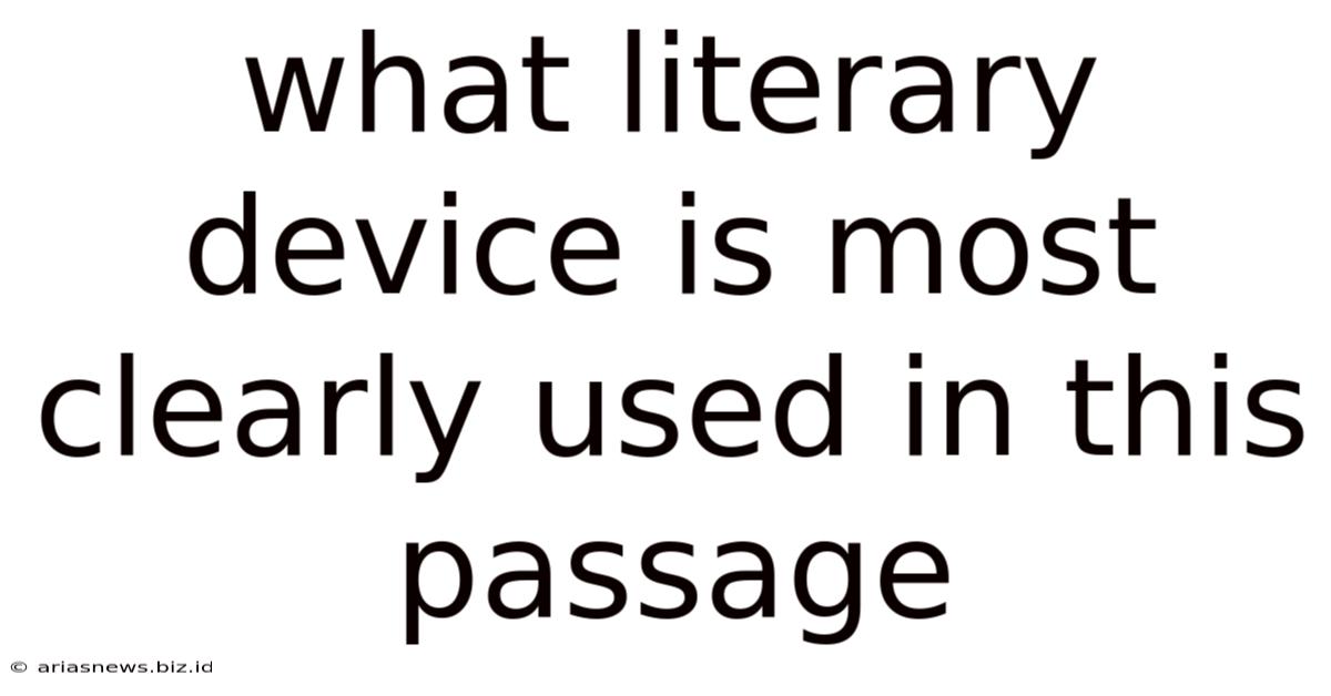 What Literary Device Is Most Clearly Used In This Passage