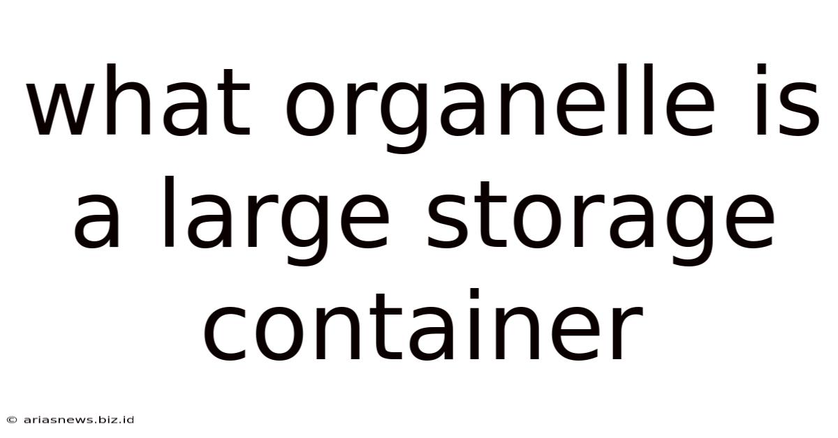 What Organelle Is A Large Storage Container