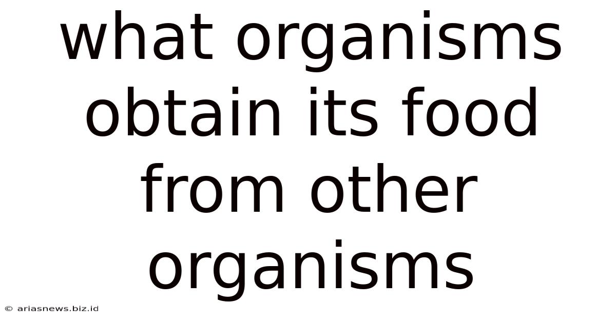 What Organisms Obtain Its Food From Other Organisms
