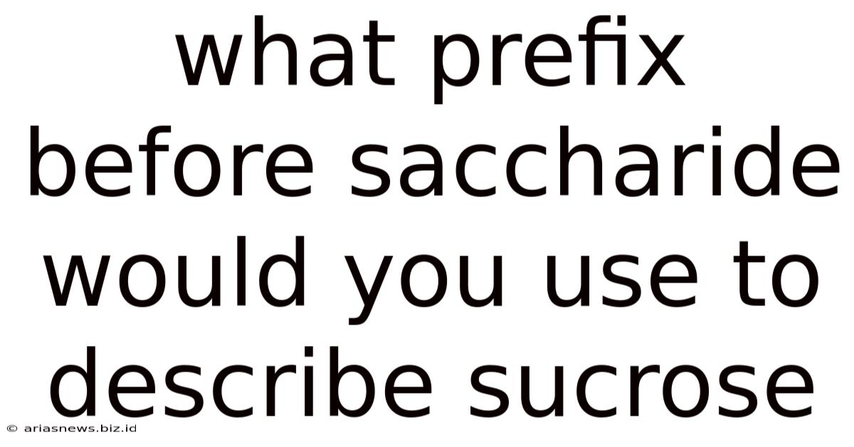 What Prefix Before Saccharide Would You Use To Describe Sucrose