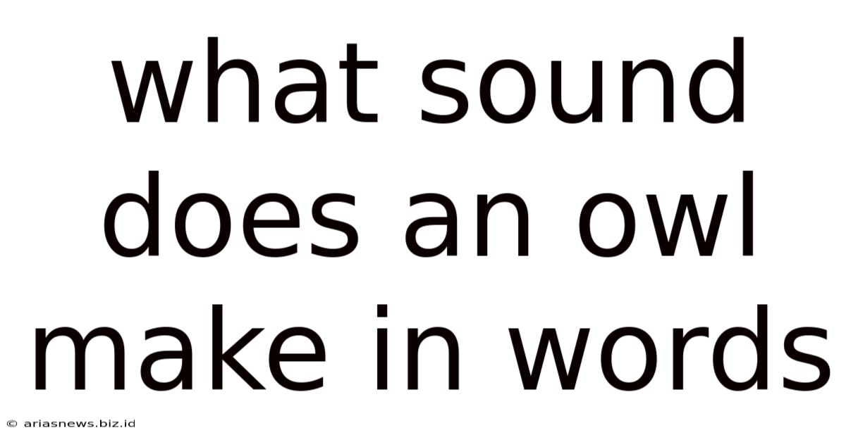 What Sound Does An Owl Make In Words