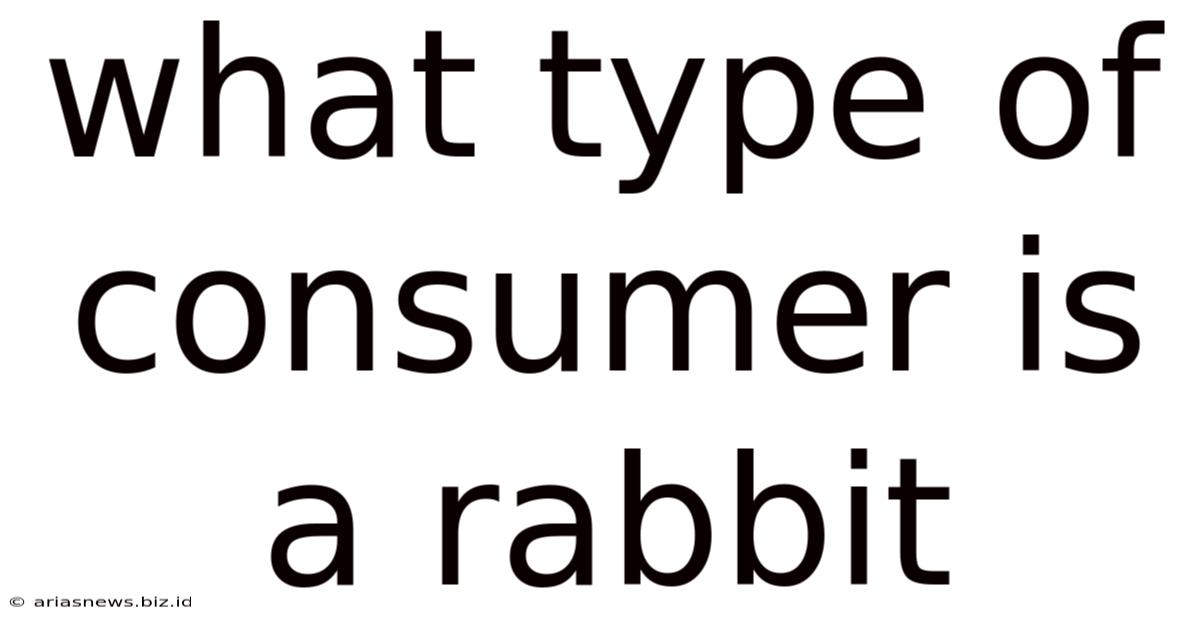 What Type Of Consumer Is A Rabbit