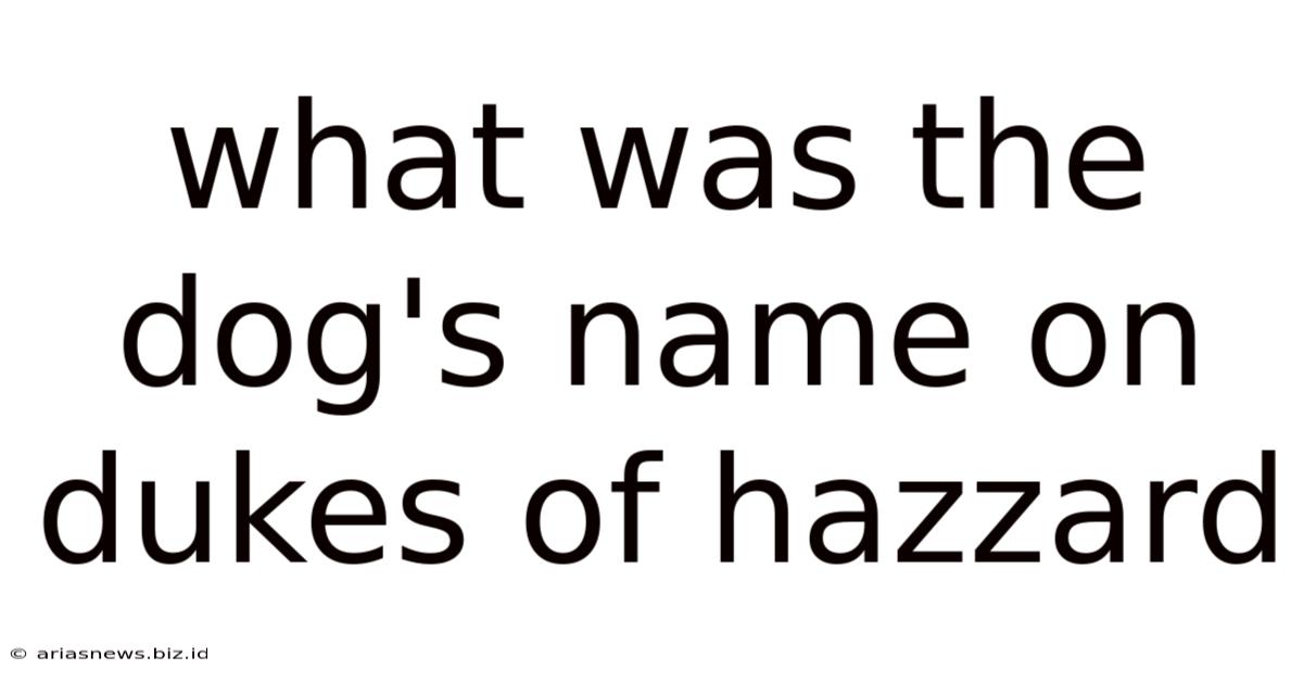 What Was The Dog's Name On Dukes Of Hazzard