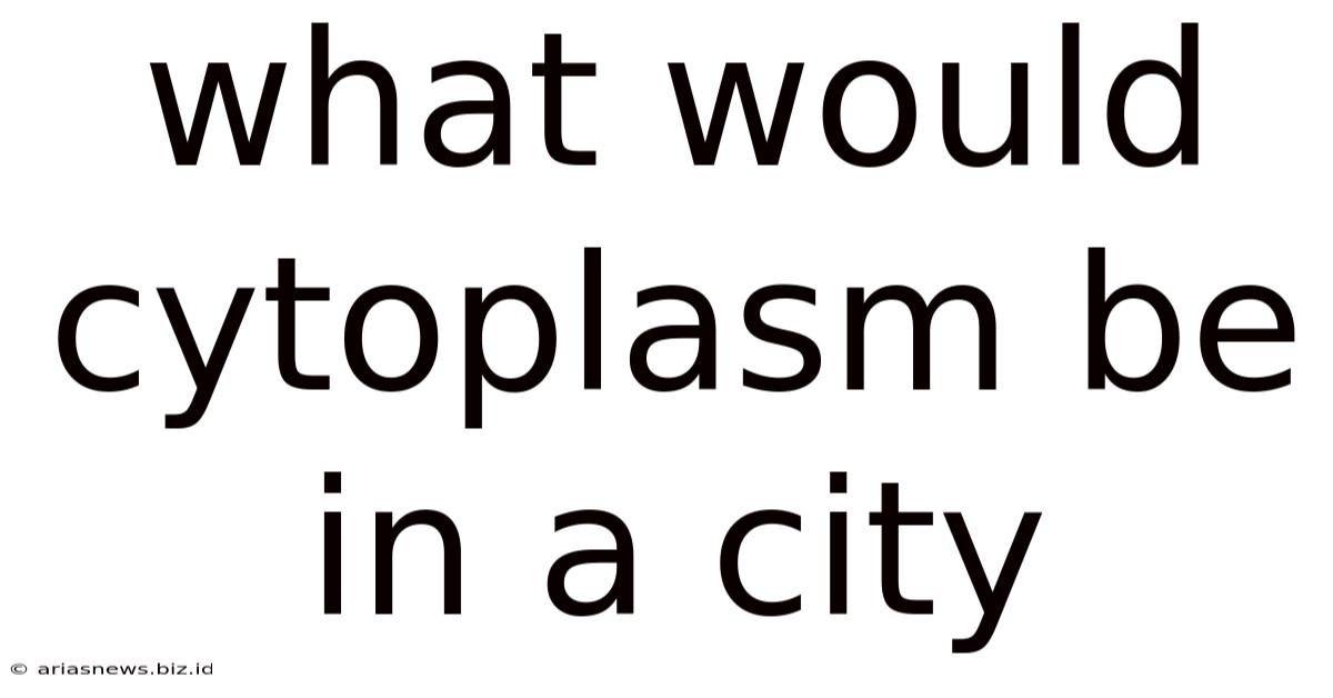 What Would Cytoplasm Be In A City