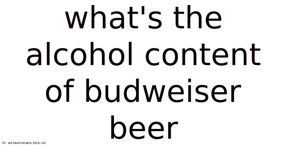 What's The Alcohol Content Of Budweiser Beer