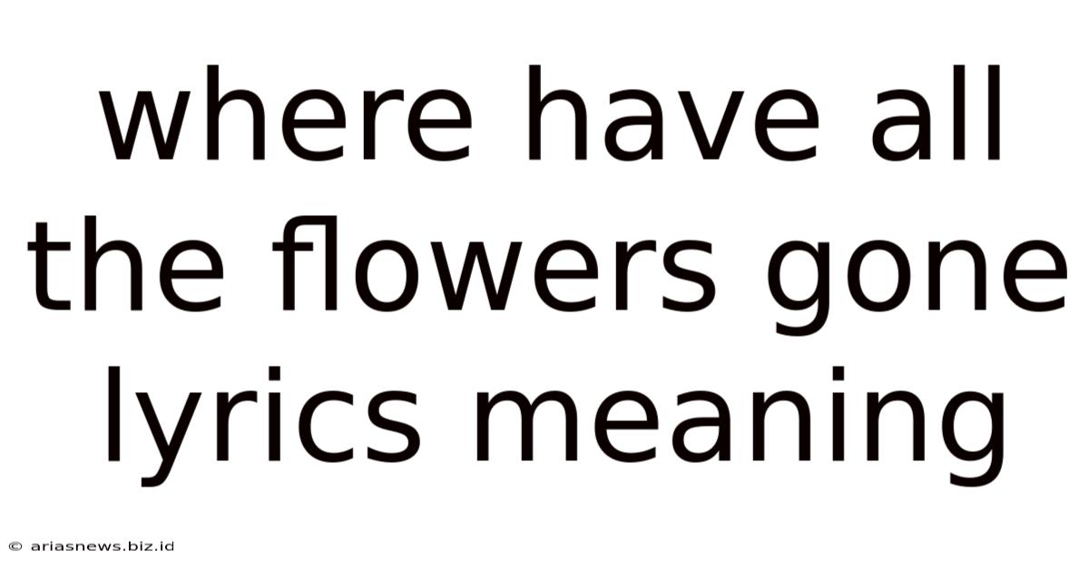Where Have All The Flowers Gone Lyrics Meaning