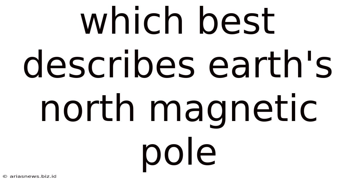 Which Best Describes Earth's North Magnetic Pole