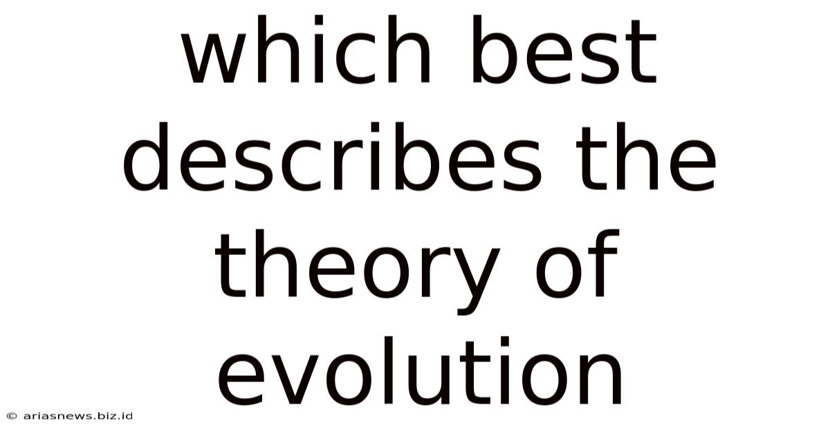 Which Best Describes The Theory Of Evolution