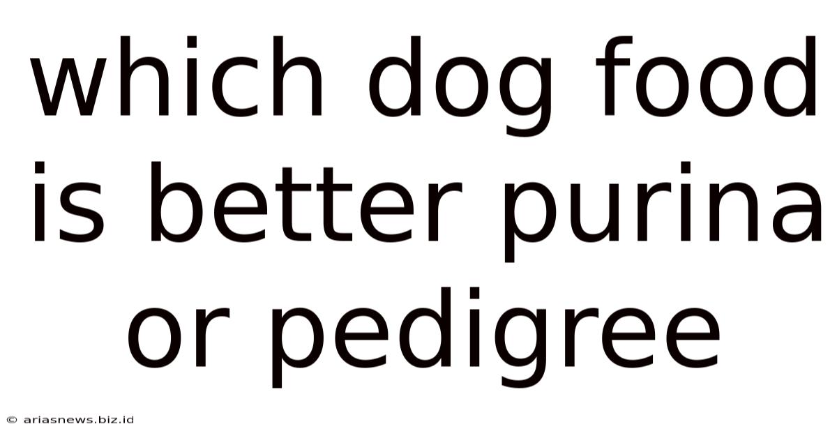 Which Dog Food Is Better Purina Or Pedigree