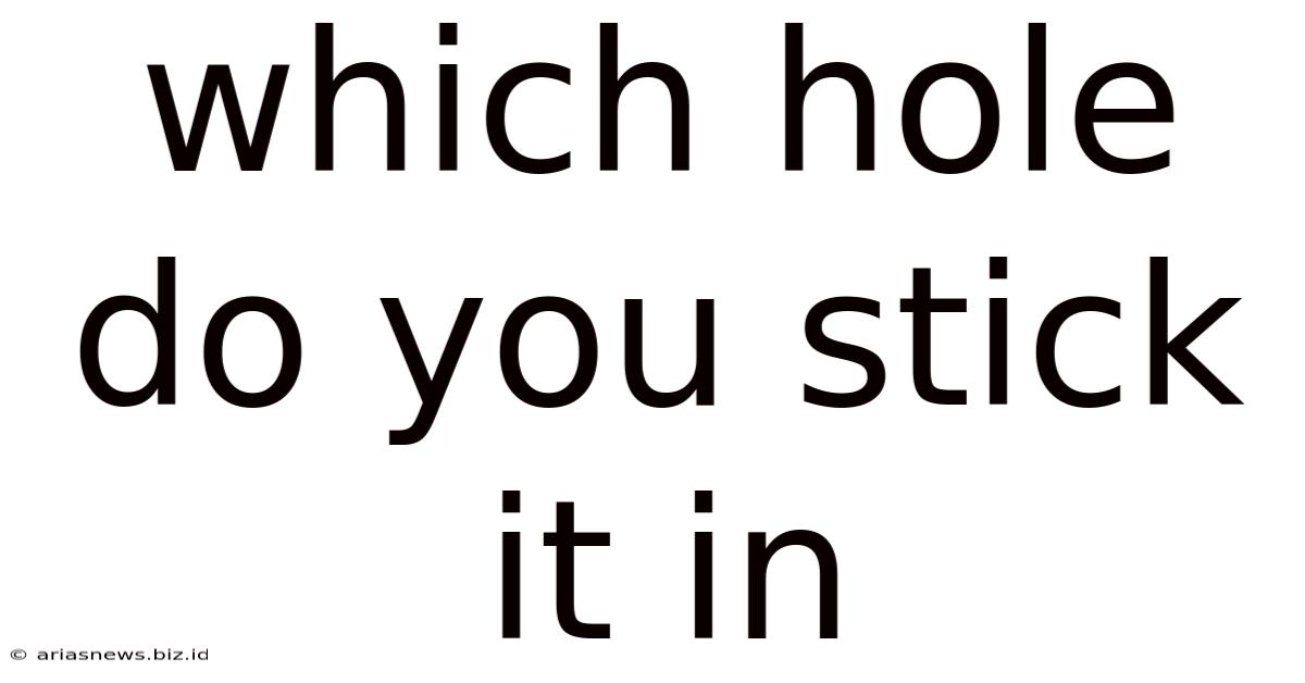 Which Hole Do You Stick It In
