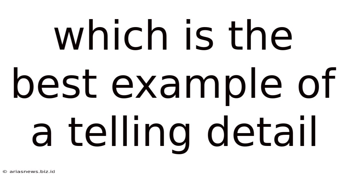 Which Is The Best Example Of A Telling Detail