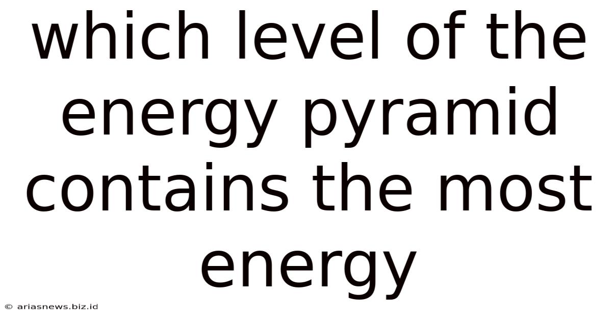 Which Level Of The Energy Pyramid Contains The Most Energy